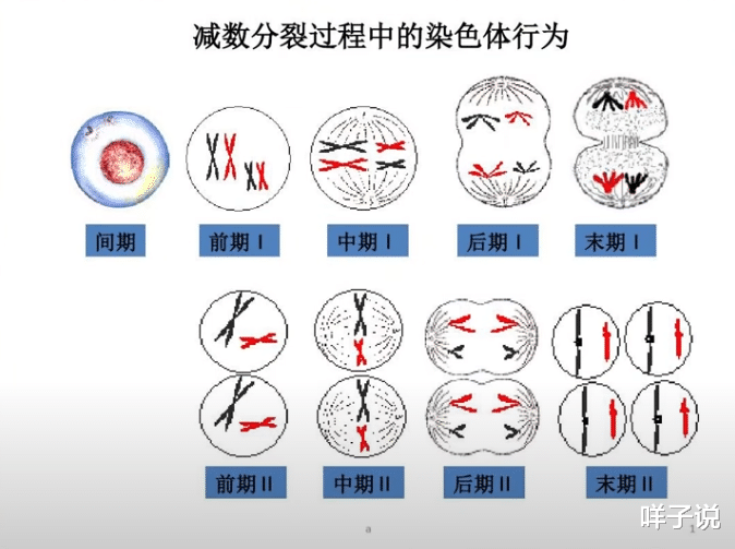 世界上除了男性女性还存在的7种性别