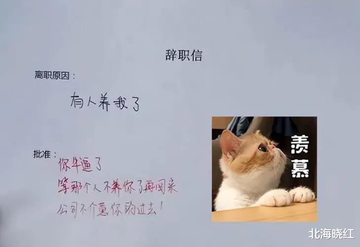 求职|女程序员辞职信走红，每句都“话中带刺”，怼得老板无法反驳