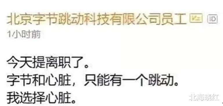 求职|女程序员辞职信走红，每句都“话中带刺”，怼得老板无法反驳