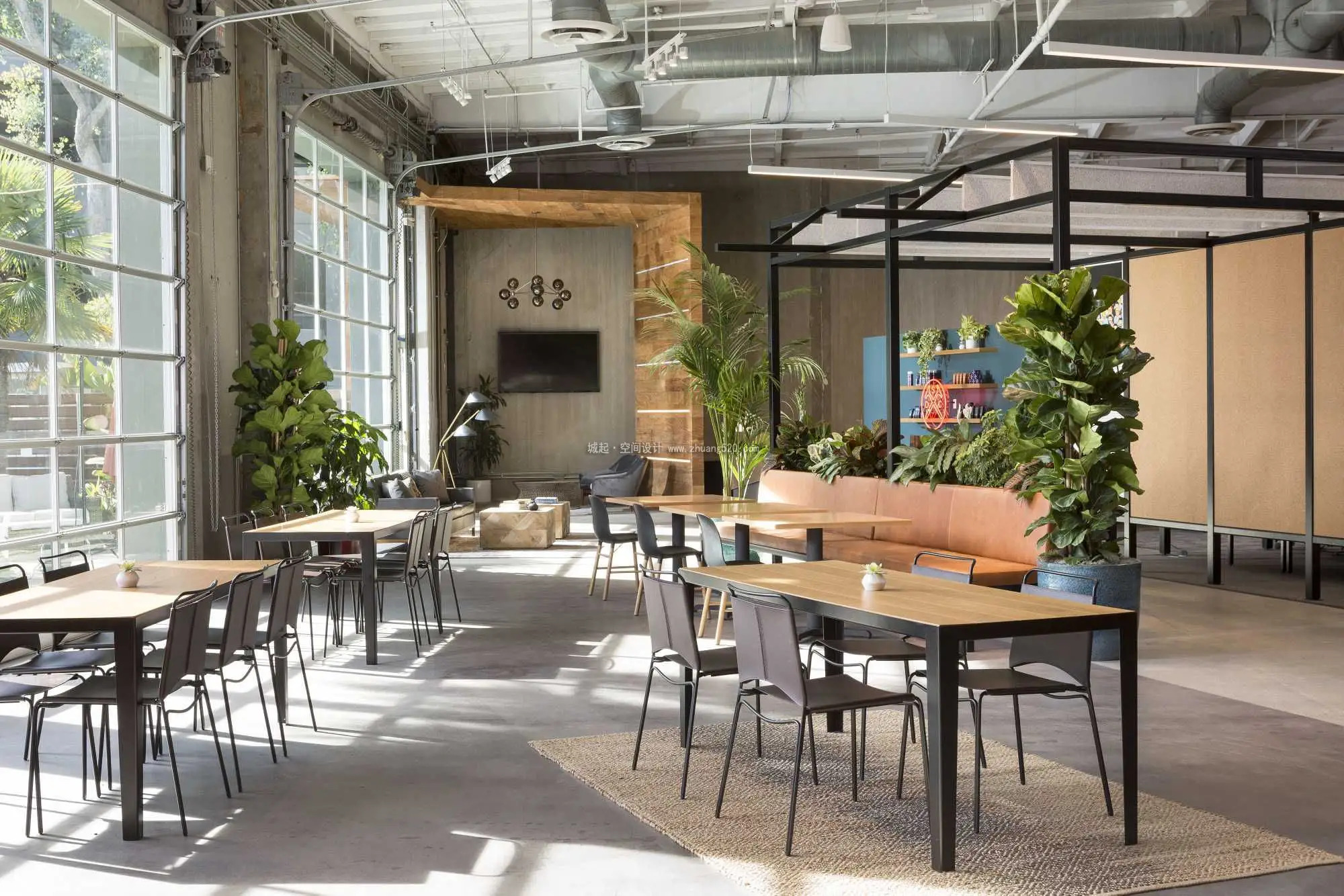 办公室的绿植怎么摆放比较好？（绿植摆放有什么风水讲究？）