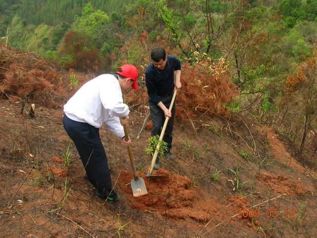 山东一7旬残疾老汉荒山种树80万棵，曾被登报表扬，16年后竟被逮捕了