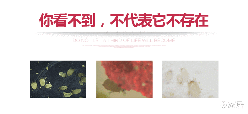 床垫上的“薄膜”要不要撕掉？多亏家具老板提醒，难怪床上螨虫多