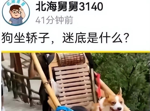 带货鸿星尔克“翻车”,小熊主动联系许妈,房子的归属定了