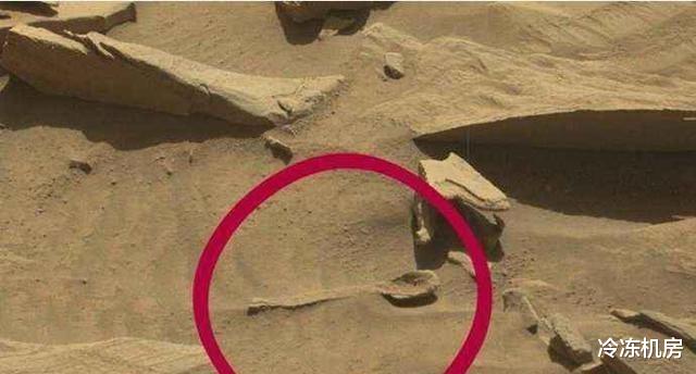火星探测器传回“楼房”和“勺子”的照片,科学家推测存在过生命