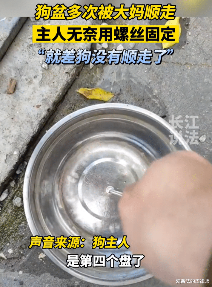 狗盆多次被大妈顺走,主任无奈用螺丝钉固定,网友:大妈已违法!