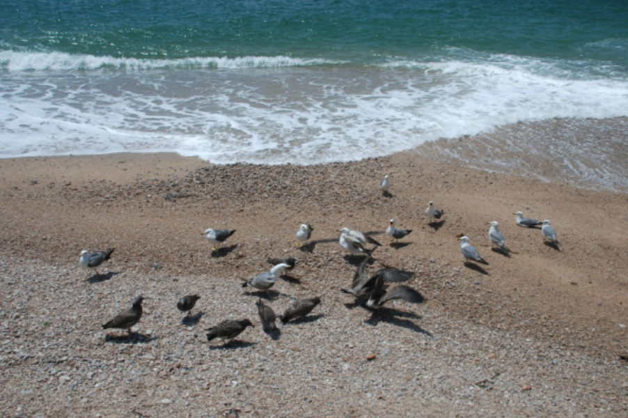山东省|喜欢看海的朋友，山东威海，这些地方不容错过！