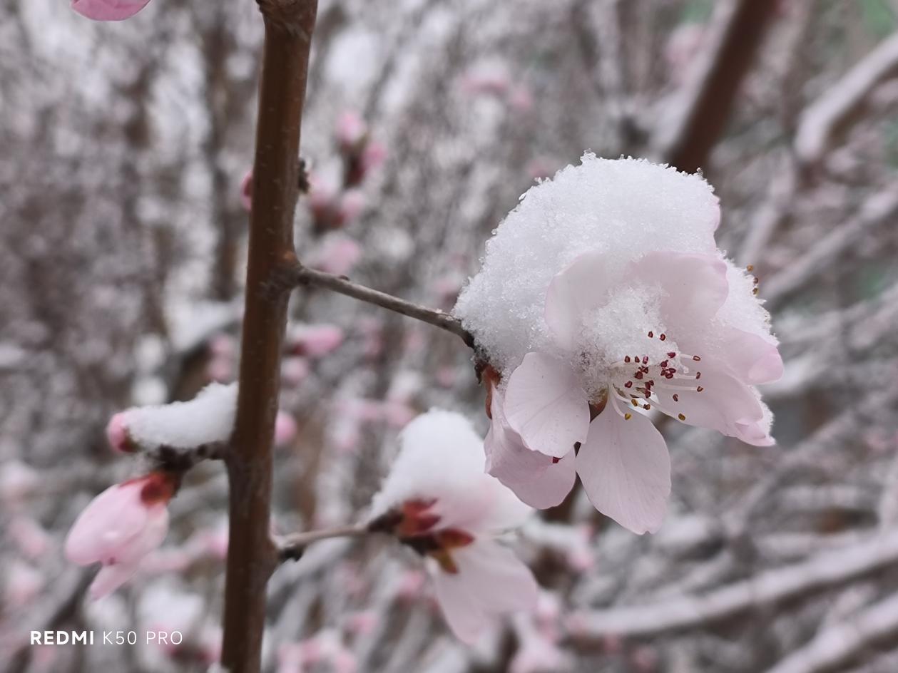 Redmi K50 Pro首发实测:配置拉满 旗舰性能“狠超想象”