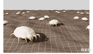 床垫上的“薄膜”要不要撕掉？多亏家具老板提醒，难怪床上螨虫多