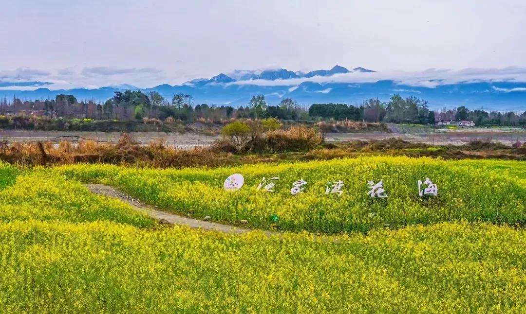 温江|一张地图玩转温江寿安，趣游手绘地图刷爆朋友圈