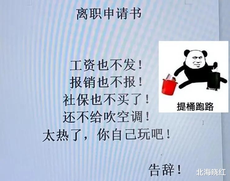 求职|女程序员辞职信走红，每句都“话中带刺”，怼得老板无法反驳