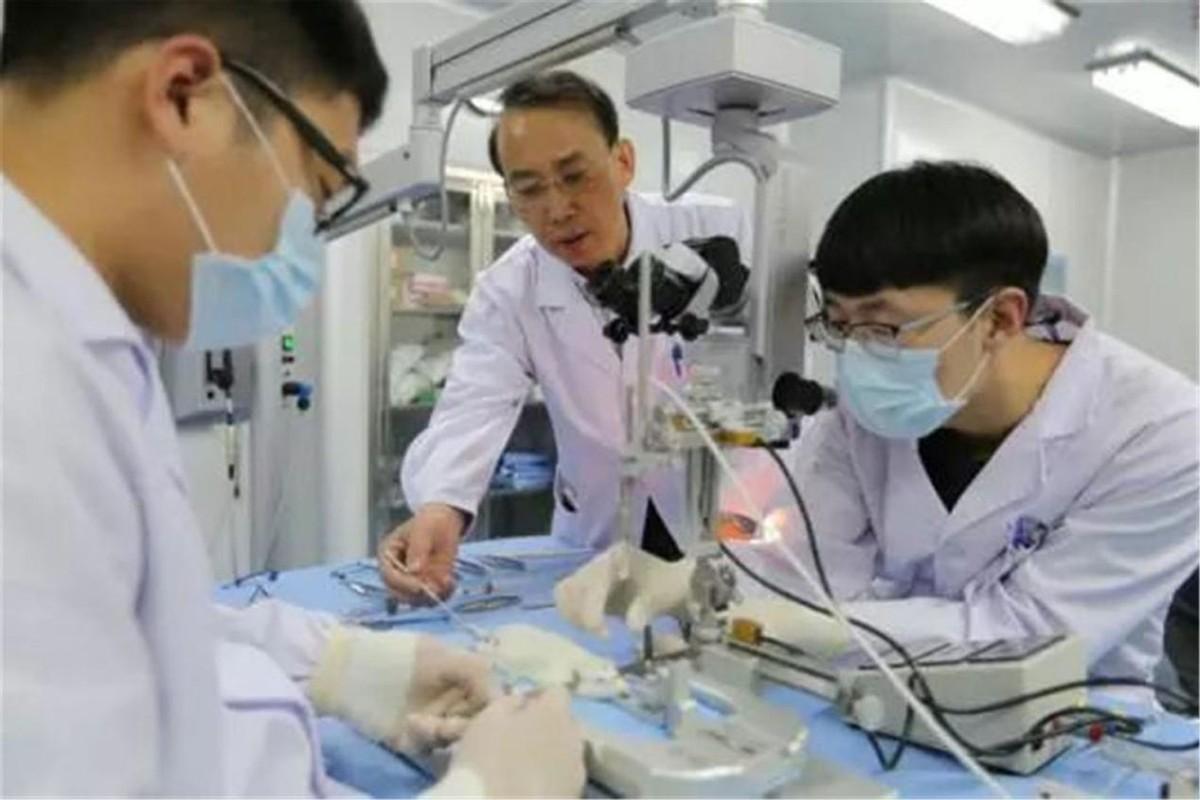 首例换头术,猴子换头后苏醒成功,一天后又被实施安乐死