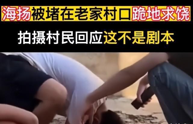 网红海扬遭资本欺骗5年时间,被堵在村口跪地求饶,网友:和李子柒联手