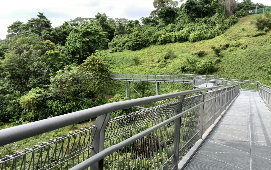|南部山脊走廊：作为新加坡一个拥有自然保护区和公园区域面积的地方