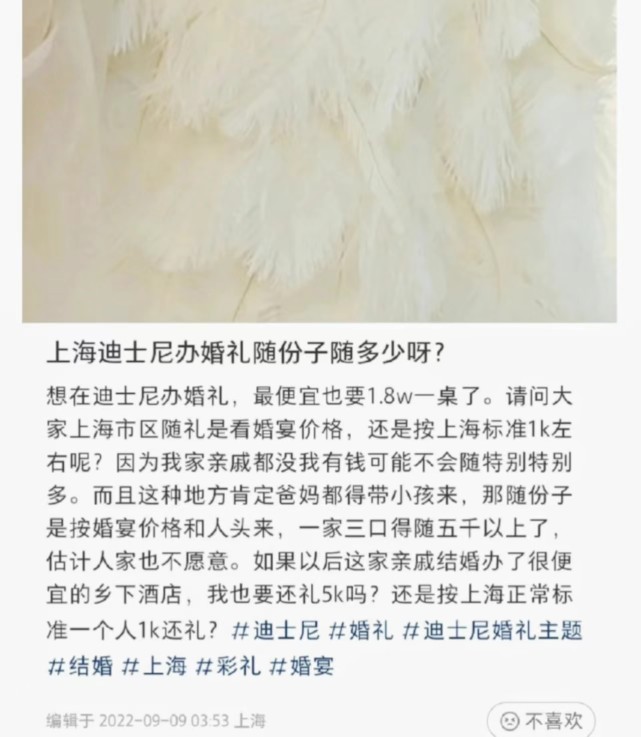 ?上海女子在迪士尼办婚宴,嫌弃穷亲戚,随不了5000份子!
