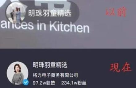 陆树铭|曝董明珠“接班人”被解雇,公司通讯录除名,最后动态已有预兆