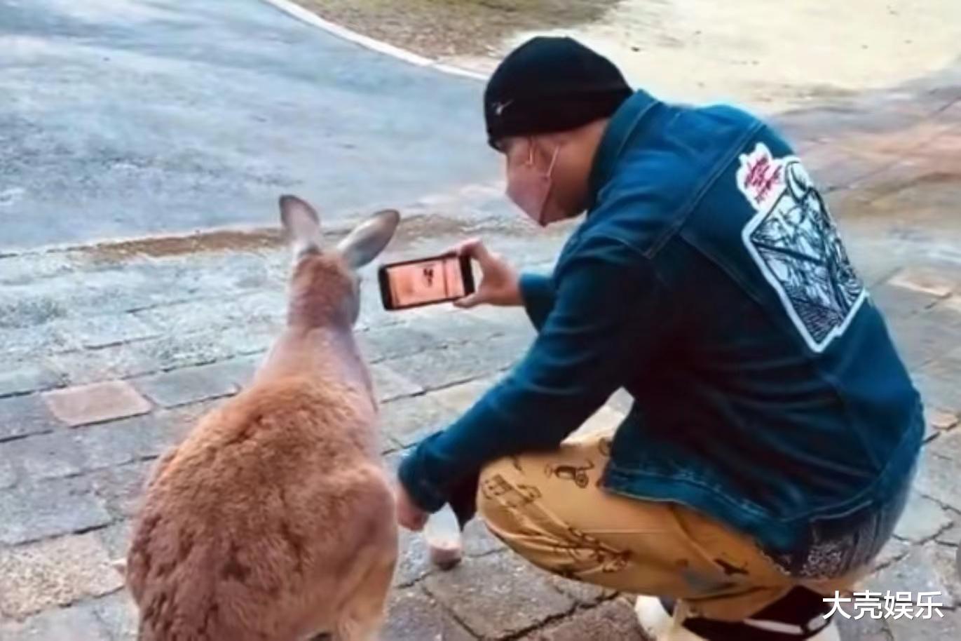 周杰伦|什么情况？周杰伦侯佩岑晒同款旅行照，照片拍摄地点和角度都一样