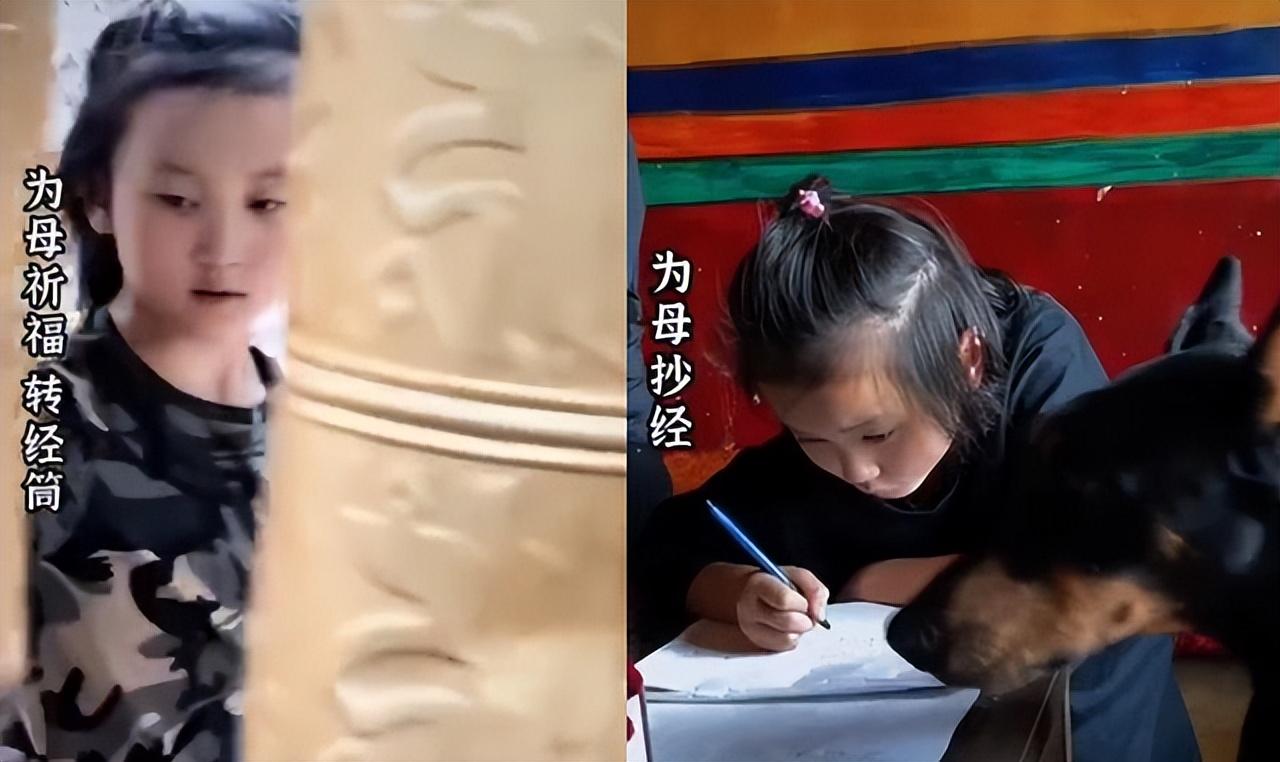 乐嘉|乐嘉前妻陶红因病去世,为其遗愿携女去拉萨,父女抱头痛哭