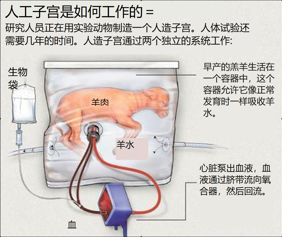 机器人|日本“妻子机器人”做的逼真，上市秒空？与人造子宫结合或淘汰女性？