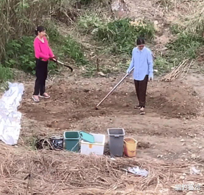 女子三十岁还未嫁，母亲怕女儿老了生存不了，亲自教女儿种菜