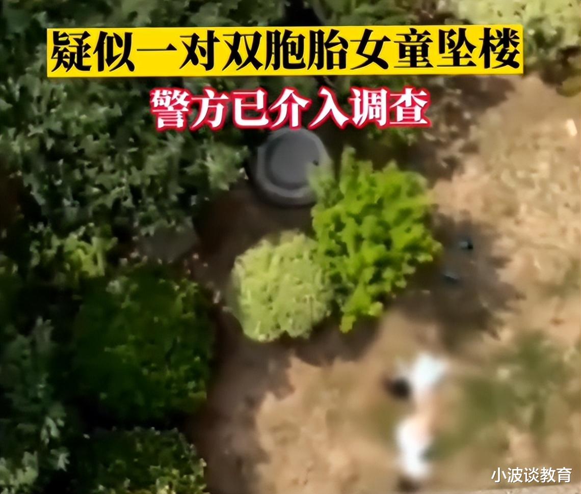 安徽一双胞胎:从14楼不幸坠下,发现时无生命体征,更多细节曝光