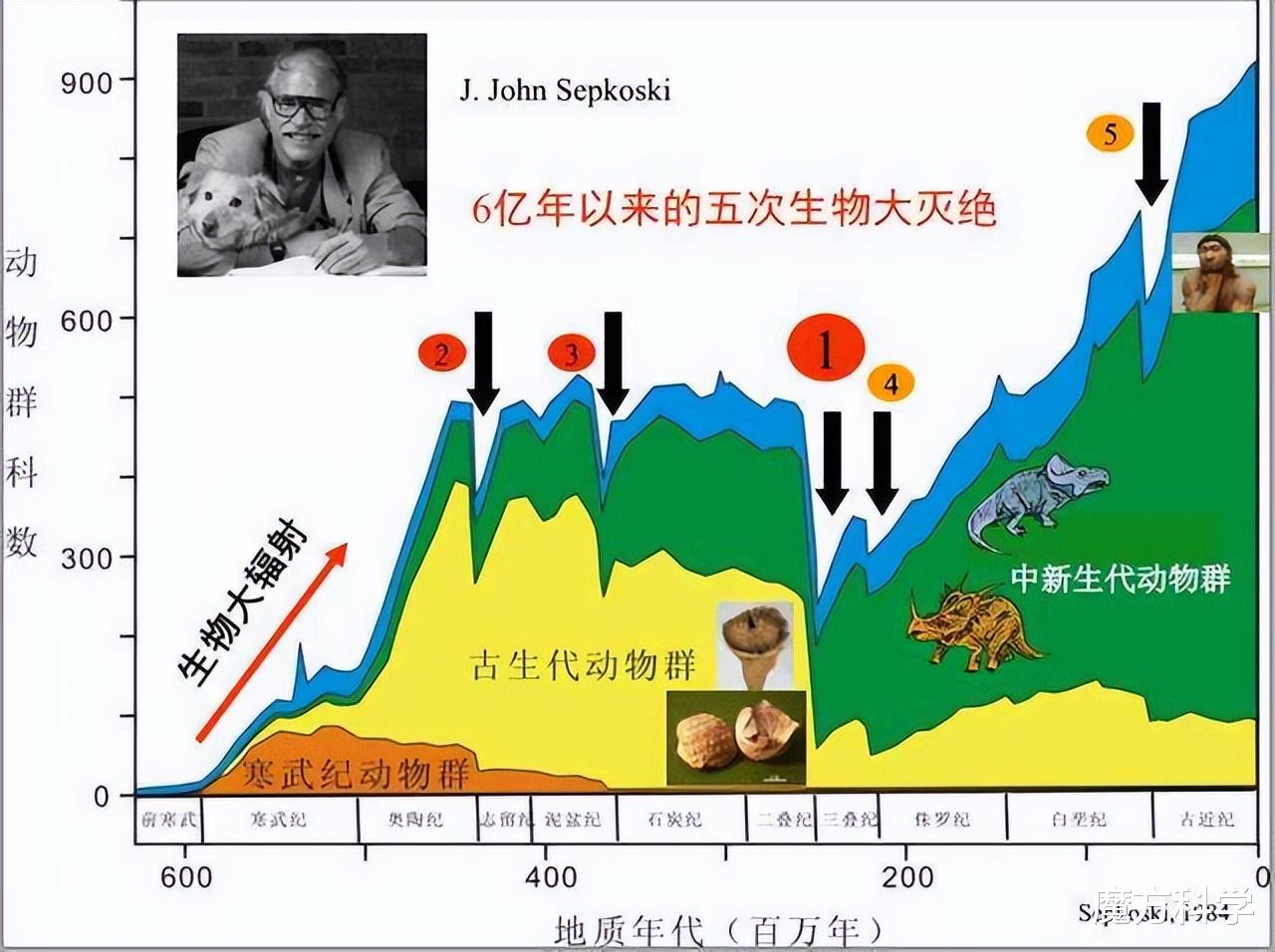 重庆地表最高温81℃江苏72℃!地球怎么了?人类最担心的或将发生