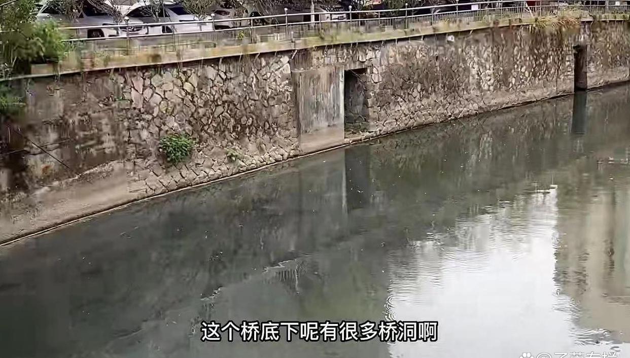 “桥洞大神”:不工作不交房租一天能睡18小时,冬暖夏凉不愿离开