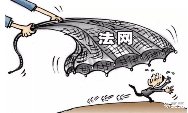 案例回顾:连小姨子都不放过?趁岳母不在家将其侵犯