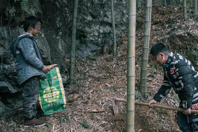 案例：18岁花季少女遭性侵致重要器官受损，罪犯担心罪行暴露实施屠戮