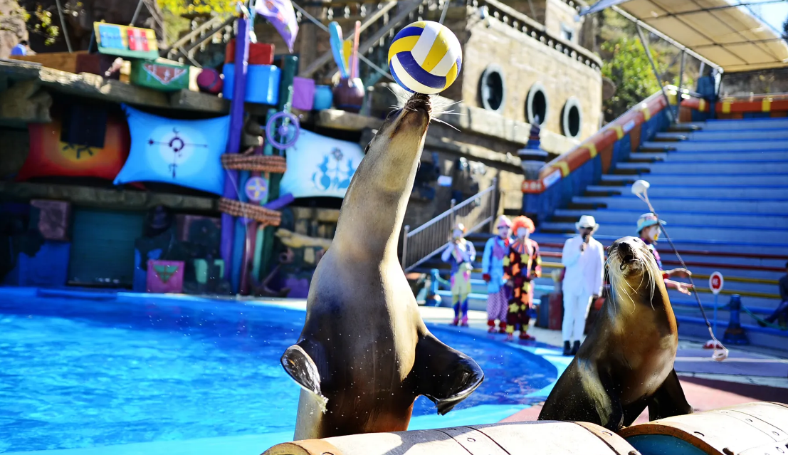 大连|辽宁大连,沿海城市,有怎样的景点?