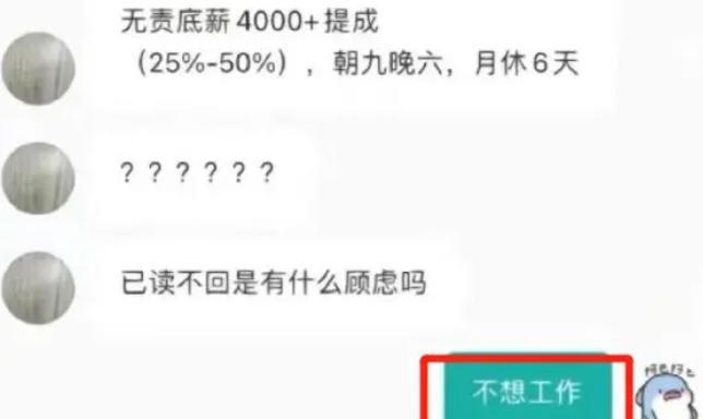 |00后大学生“野蛮应聘”火了，直来直去没有废话，HR在原地凌乱！