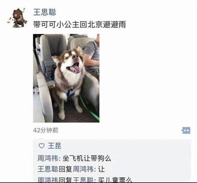 赵子易|“狗保姆”赵子易：7年熬走思聪多任女友，负面不断却独得宠爱