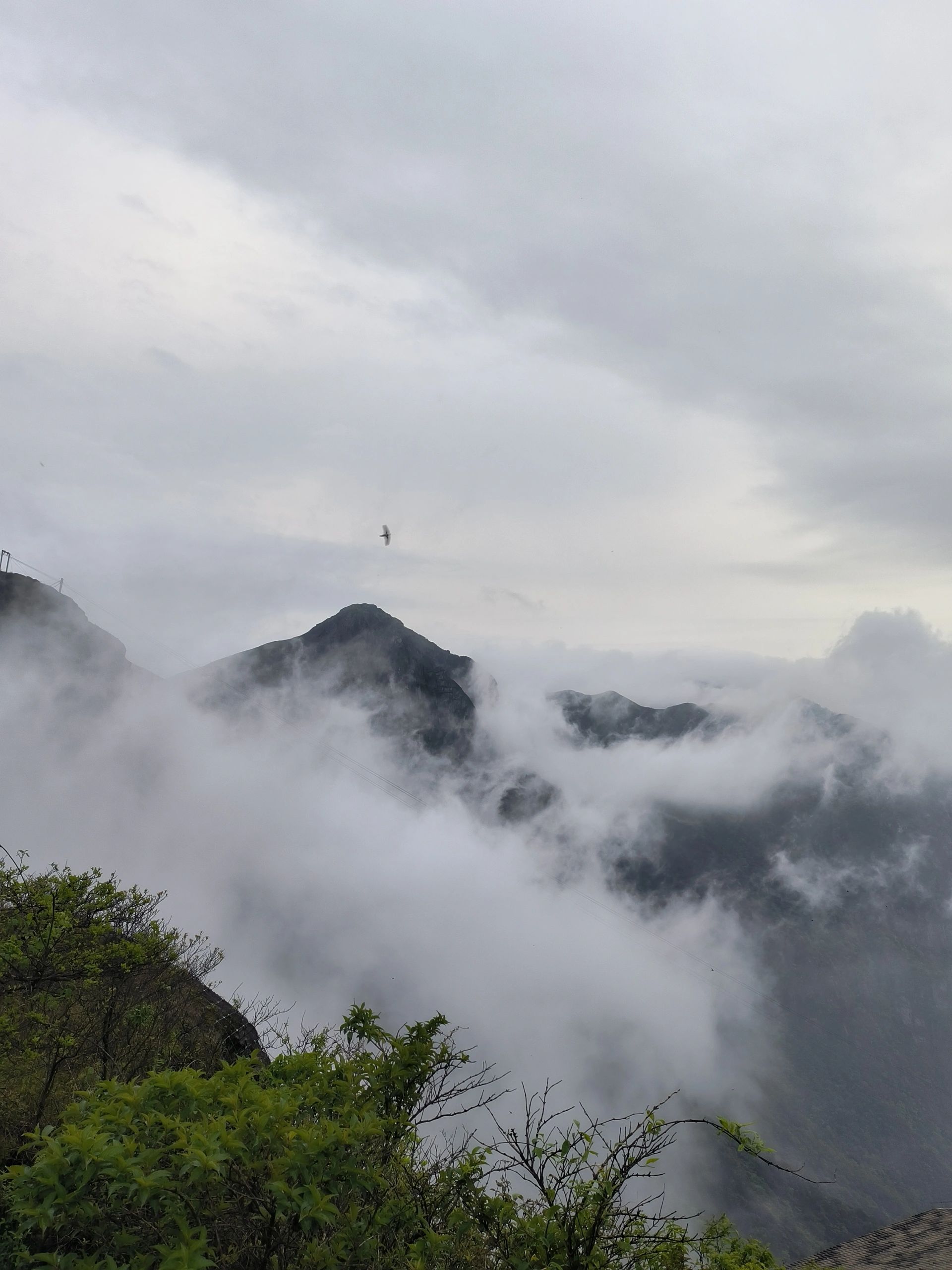 旅行|武功山一日游山腰太挤了，坐上索道我们金顶见