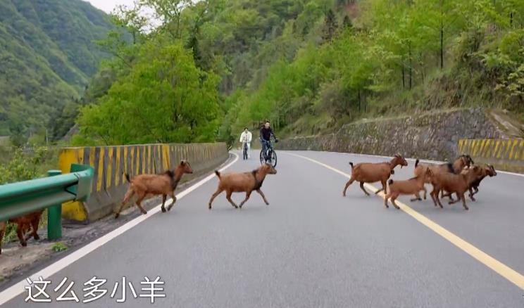 岳云鹏|岳云鹏获赠别墅永久使用权，这还是《极限挑战》吗