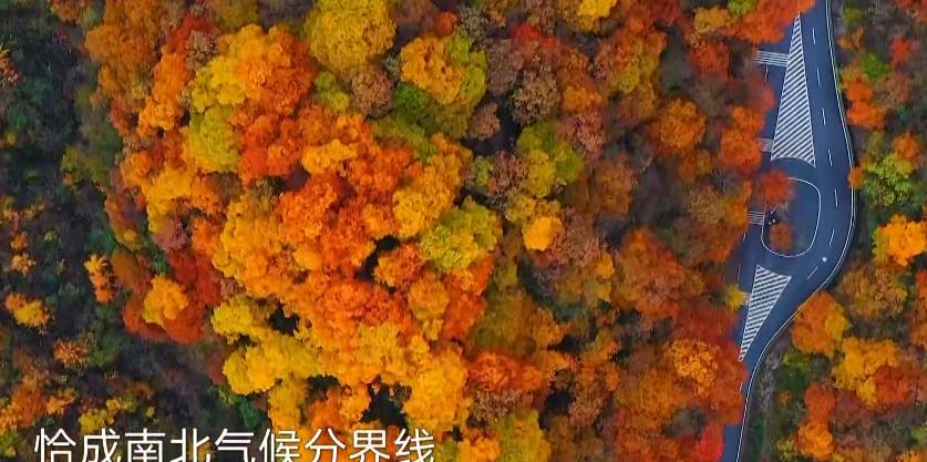 岳云鹏|岳云鹏获赠别墅永久使用权，这还是《极限挑战》吗