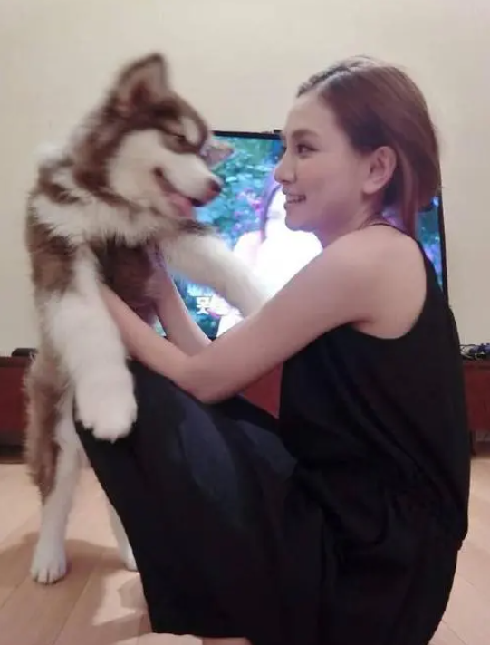 赵子易|“狗保姆”赵子易：7年熬走思聪多任女友，负面不断却独得宠爱