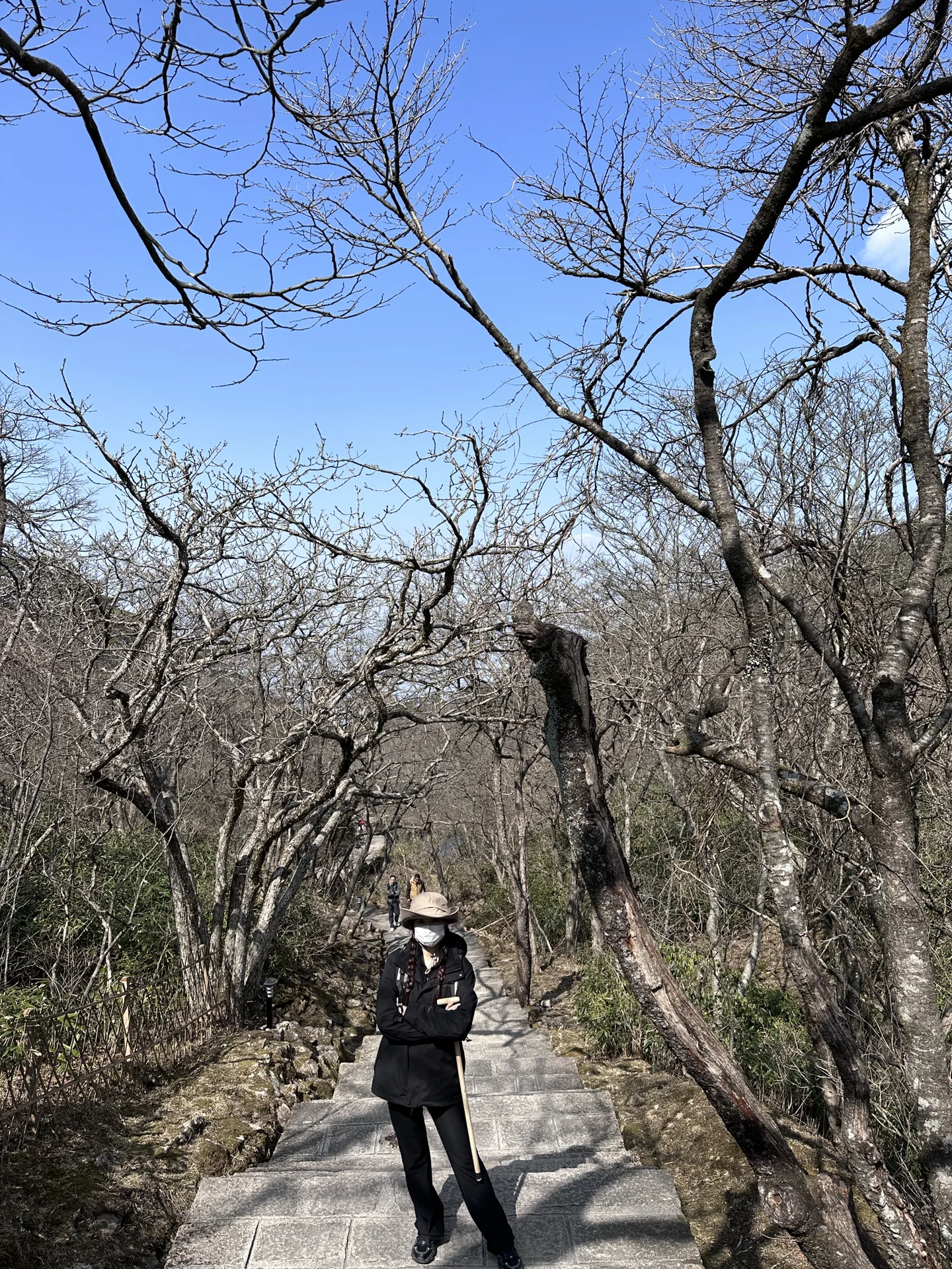 游山川|黄山攻略｜周六错峰成功，酒店