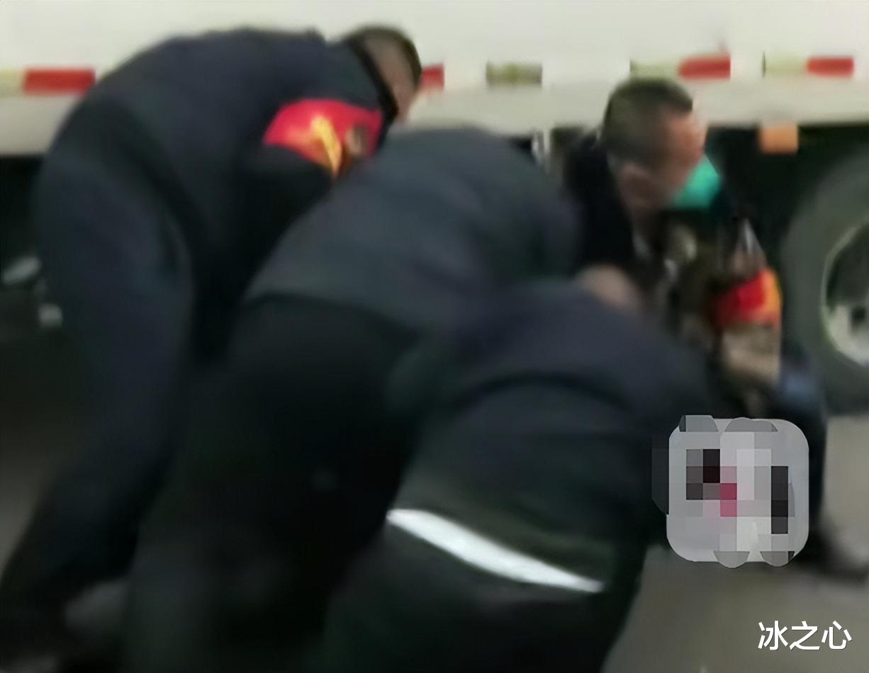 素素|河北一城管打骂货车司机“惩罚”结果出来后,引发公众不满