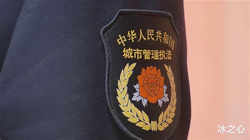 素素|河北一城管打骂货车司机“惩罚”结果出来后,引发公众不满