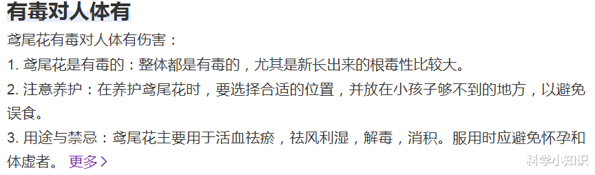 孙俪|孙俪口叼毒花拍大片，用辱华摄影师引争议，网友：十年养生白费！