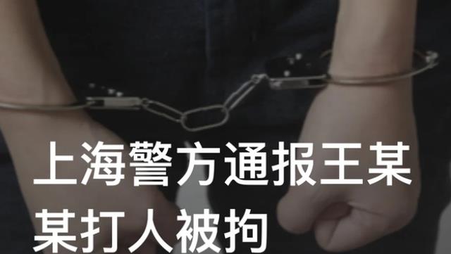 “万达公子”王思聪被证实在上海打人被拘,警方通报处罚结果!