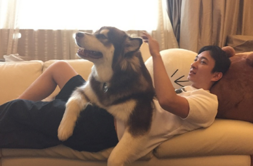 赵子易|“狗保姆”赵子易：7年熬走思聪多任女友，负面不断却独得宠爱