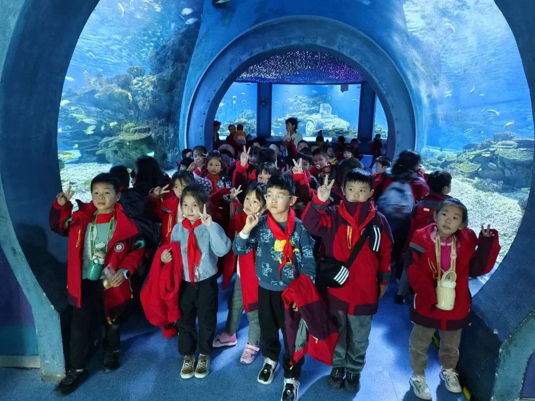 跟着课本去旅行,大悟滨河小学携手武汉晶话筒童训营，走进极地海洋世界！
