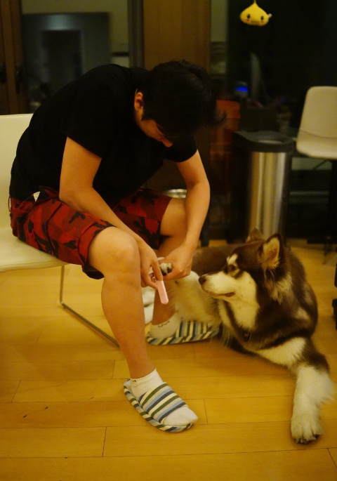 赵子易|“狗保姆”赵子易：7年熬走思聪多任女友，负面不断却独得宠爱