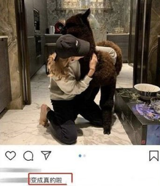 赵子易|“狗保姆”赵子易：7年熬走思聪多任女友，负面不断却独得宠爱