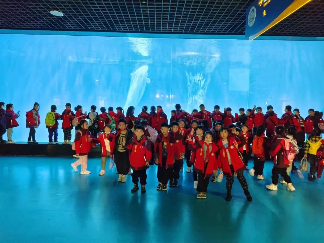 跟着课本去旅行,大悟滨河小学携手武汉晶话筒童训营，走进极地海洋世界！