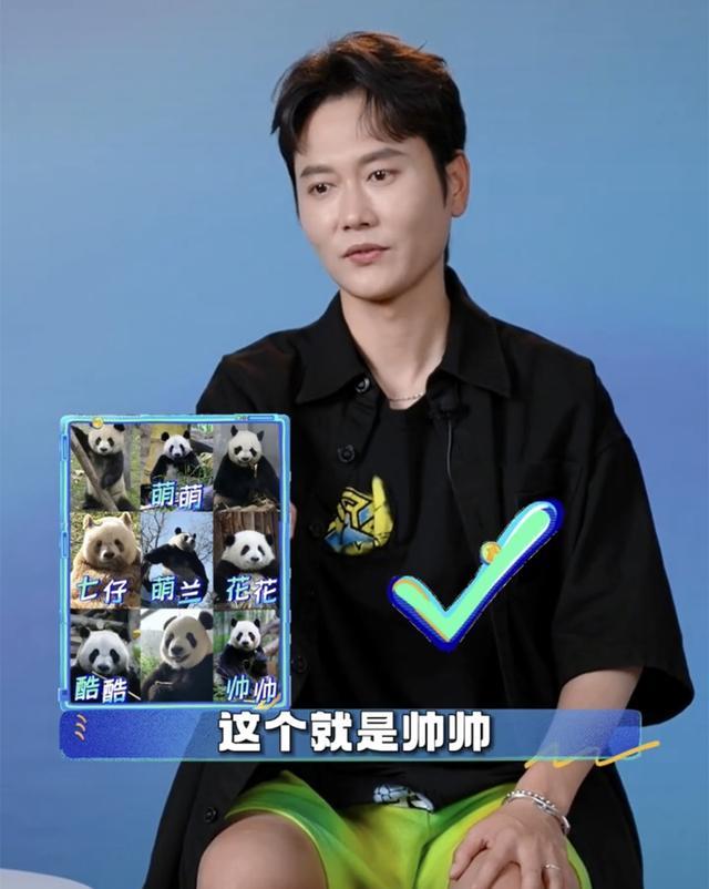 李玟|孟鹤堂做客秦霄贤综艺，接受节目组专访，网友：孟哥对熊猫真了解