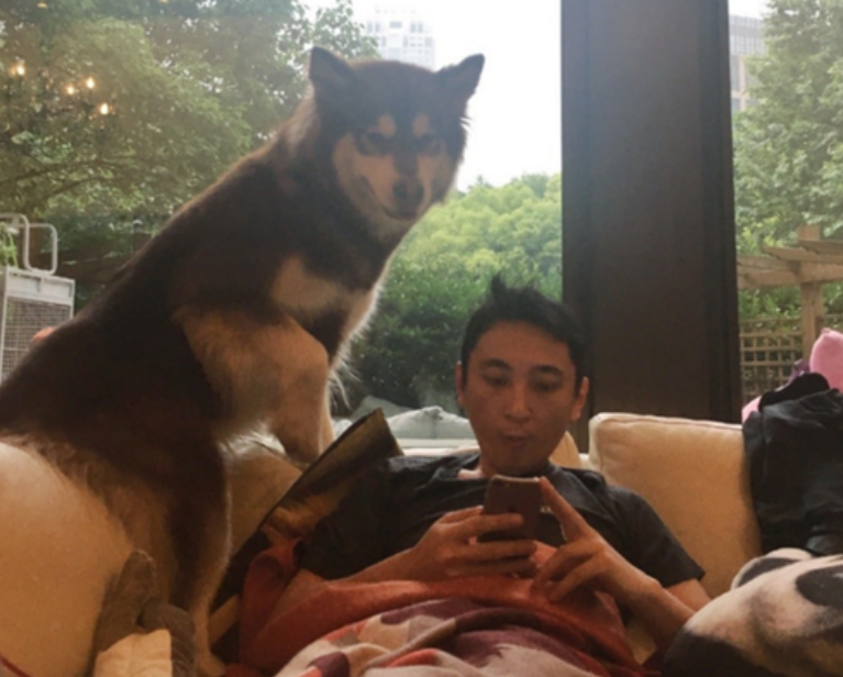 赵子易|“狗保姆”赵子易：7年熬走思聪多任女友，负面不断却独得宠爱