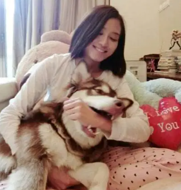 赵子易|“狗保姆”赵子易：7年熬走思聪多任女友，负面不断却独得宠爱