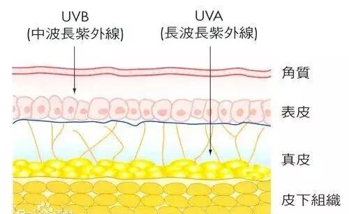 那些正慢慢毁掉您皮肤的护肤谣言，北大医生：里面含“剧毒”