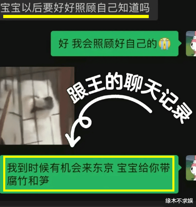 王思聪女友官宣分手！聊天记录暴露重要讯息，小王可能真回不来了！